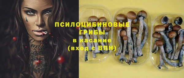 ПСИЛОЦИБИНОВЫЕ ГРИБЫ Арсеньев