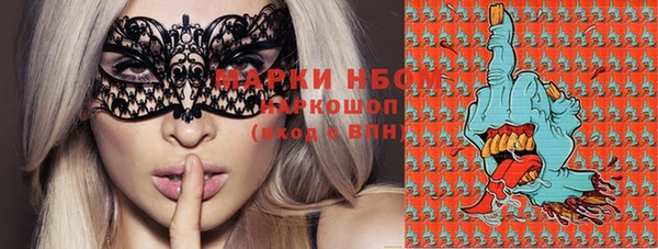 бошки Осинники