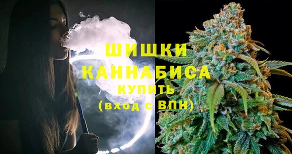 ПСИЛОЦИБИНОВЫЕ ГРИБЫ Арсеньев