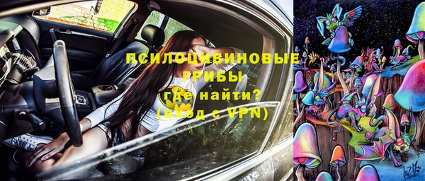 ПСИЛОЦИБИНОВЫЕ ГРИБЫ Арсеньев