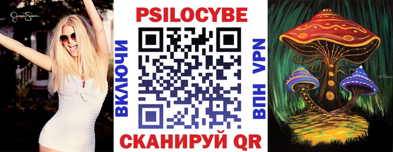 mega tor Бабушкин Галлюциногенные грибы Magic Shrooms